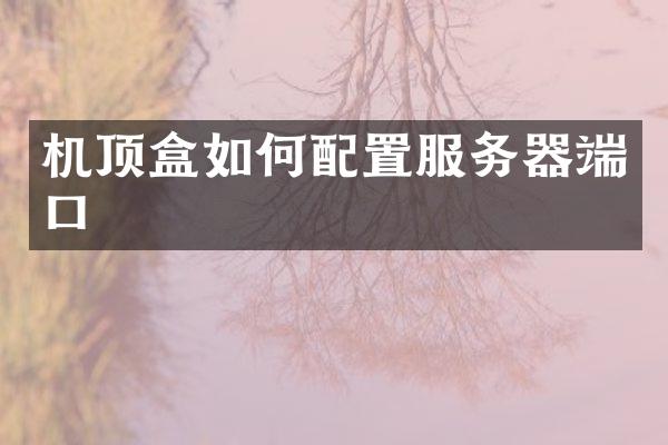 机顶盒如何配置服务器端口
