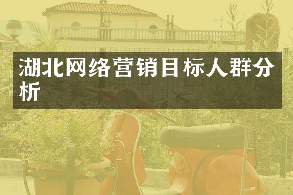 湖北网络营销目标人群分析