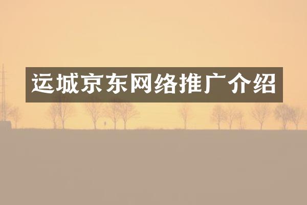 运城京东网络推广介绍