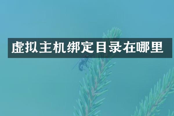 虚拟主机绑定目录在哪里