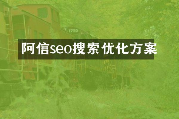 阿信seo搜索优化方案