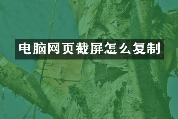 电脑网页截屏怎么复制