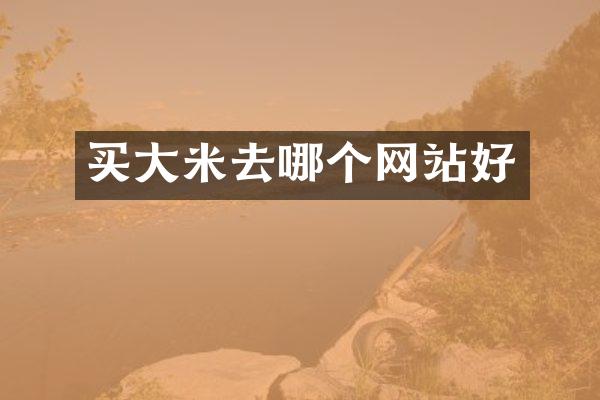 买大米去哪个网站好