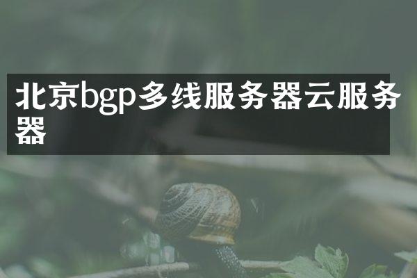 北京bgp多线服务器云服务器