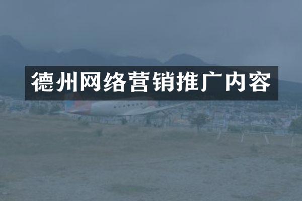 德州网络营销推广内容