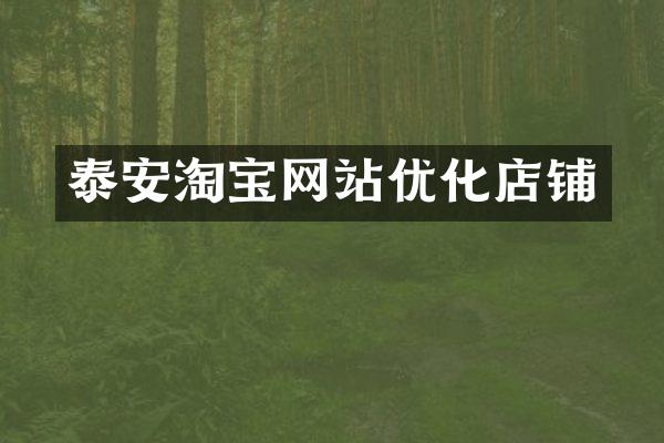 泰安淘宝网站优化店铺