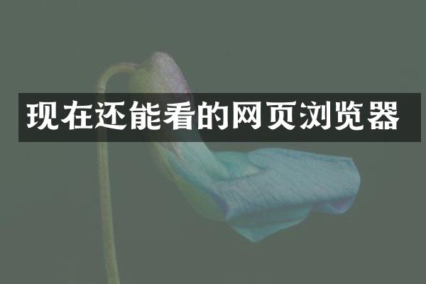 现在还能看的网页浏览器