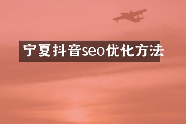 宁夏抖音seo优化方法