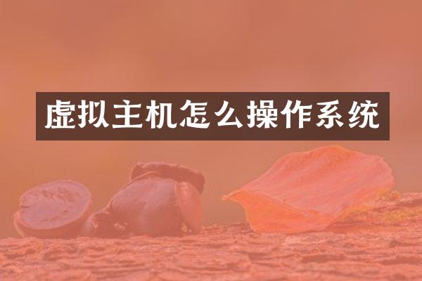 虚拟主机怎么操作系统