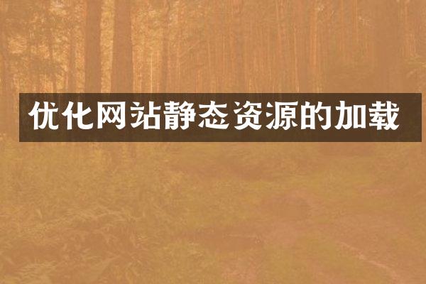 优化网站静态资源的加载