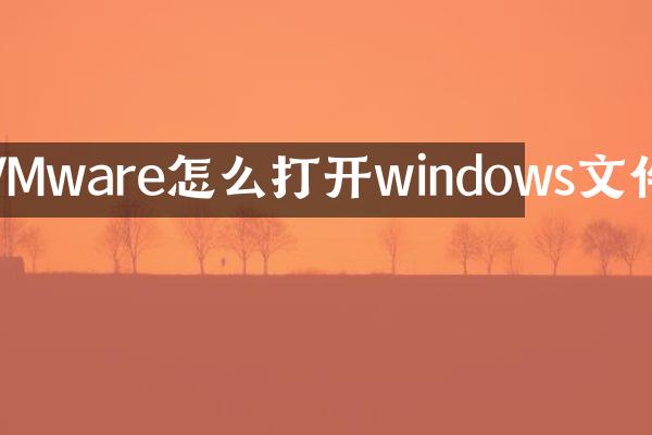 VMware怎么打开windows文件
