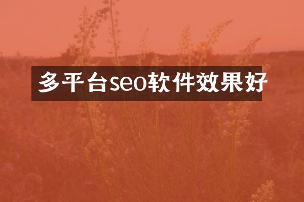 多平台seo软件效果好