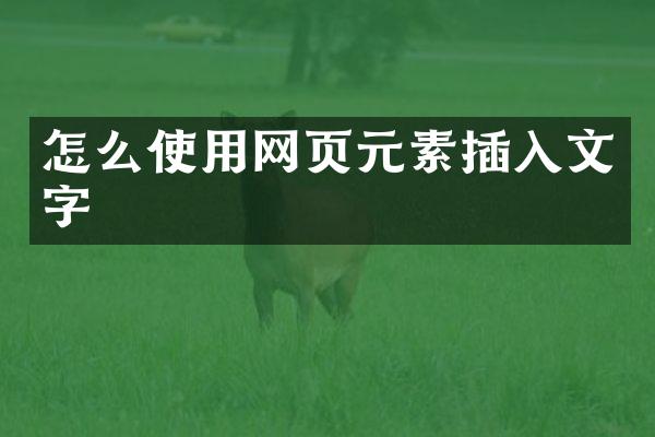 怎么使用网页元素插入文字