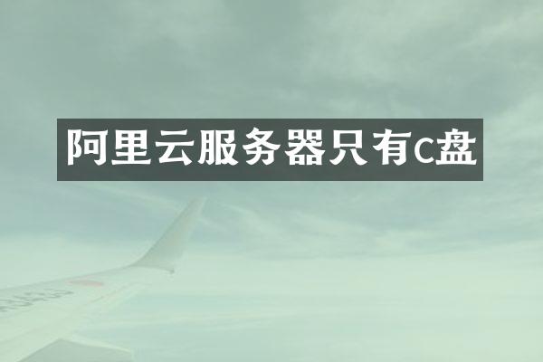 阿里云服务器只有c盘