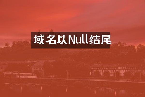 域名以Null结尾