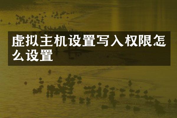 虚拟主机设置写入权限怎么设置