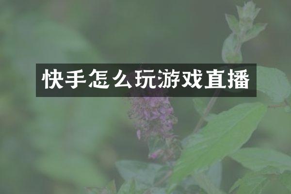 快手怎么玩游戏直播
