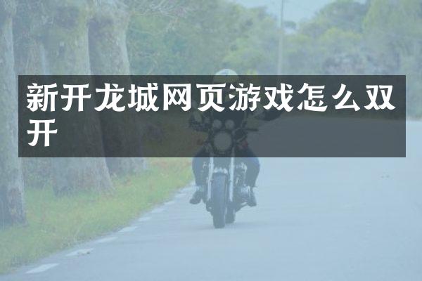 新开龙城网页游戏怎么双开