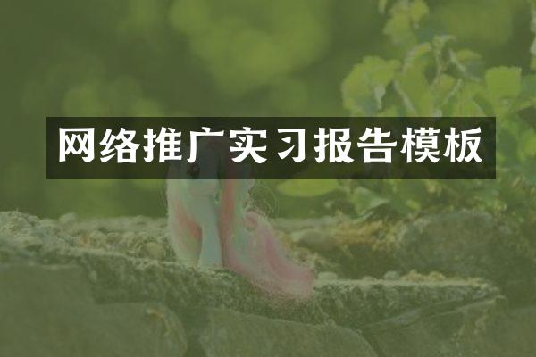 网络推广实习报告模板