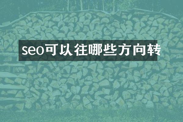 seo可以往哪些方向转