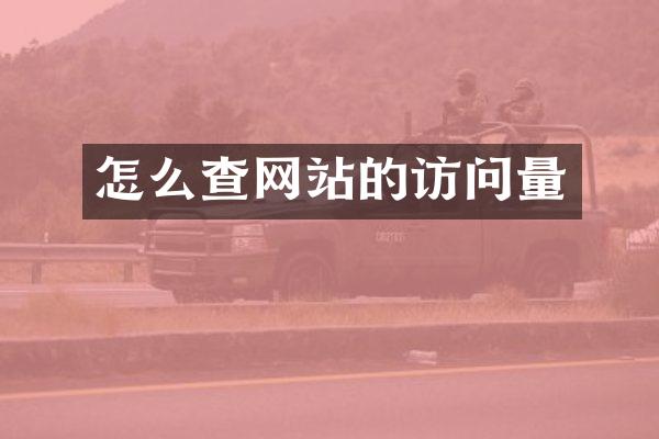怎么查网站的访问量