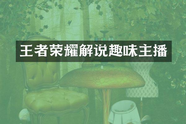 王者荣耀解说趣味主播