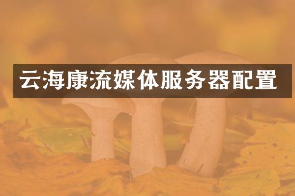 云海康流媒体服务器配置