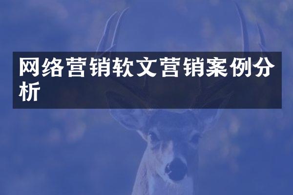 网络营销软文营销案例分析