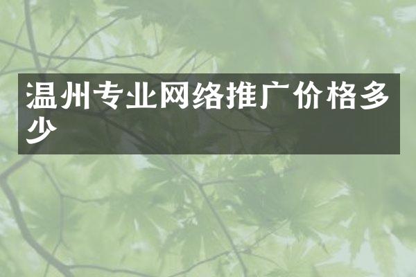 温州专业网络推广价格多少