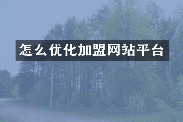 怎么优化加盟网站平台