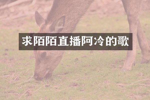 求陌陌直播阿冷的歌