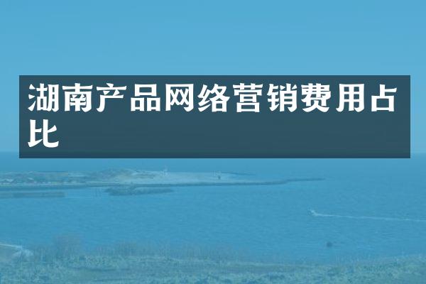 湖南产品网络营销费用占比