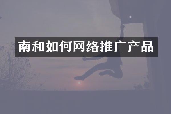 南和如何网络推广产品
