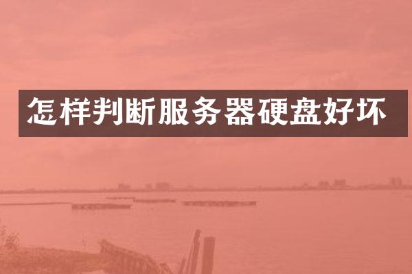 怎样判断服务器硬盘好坏