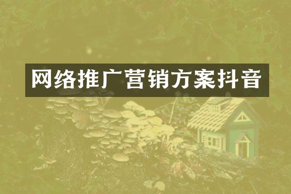 网络推广营销方案抖音