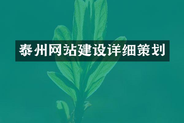 泰州网站建设详细策划