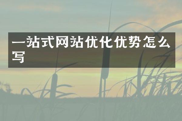一站式网站优化优势怎么写