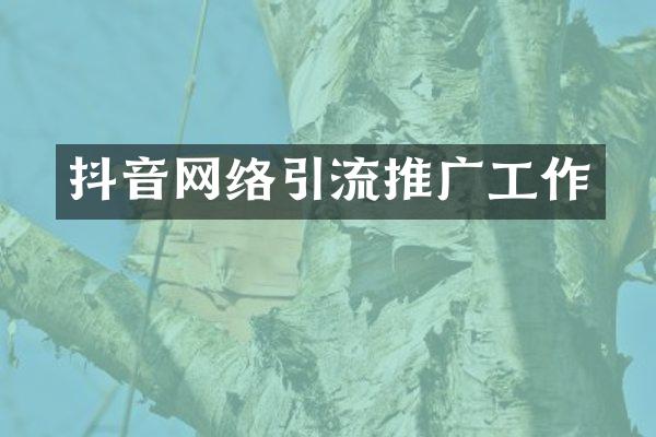 抖音网络引流推广工作