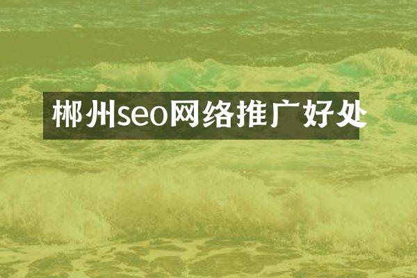郴州seo网络推广好处