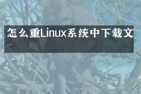 怎么重Linux系统中下载文件