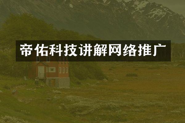 帝佑科技讲解网络推广