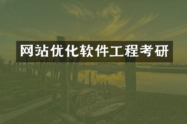 网站优化软件工程考研
