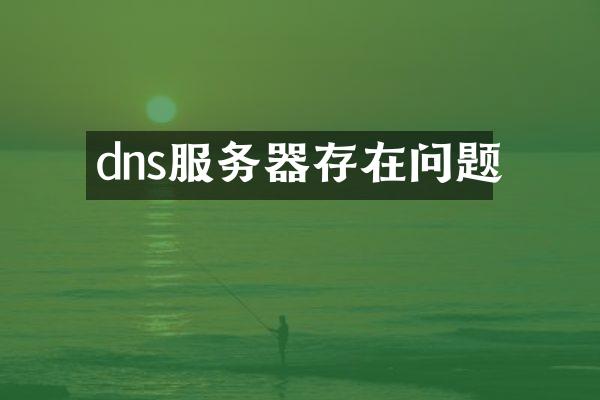 dns服务器存在问题