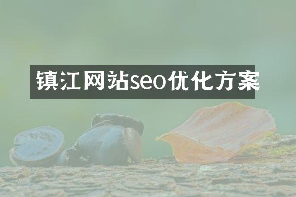 镇江网站seo优化方案