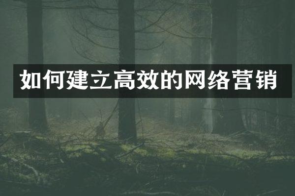 如何建立高效的网络营销