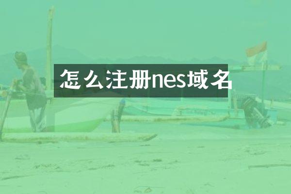 怎么注册nes域名
