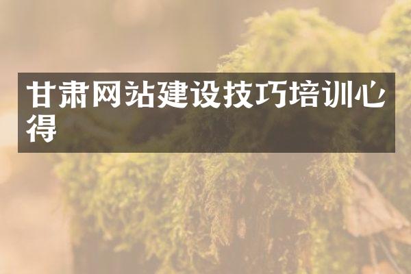 甘肃网站建设技巧培训心得
