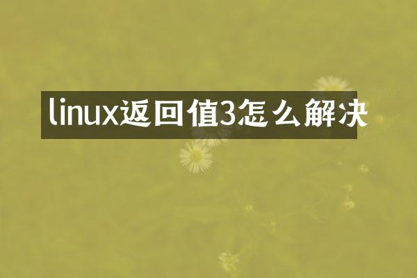 linux返回值3怎么解决