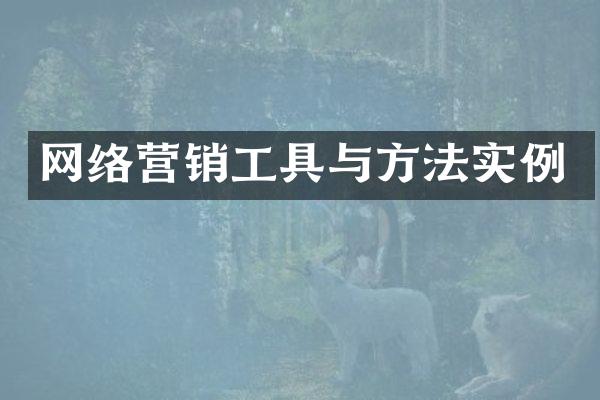 网络营销工具与方法实例