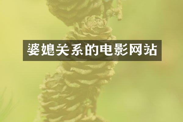 婆媳关系的电影网站